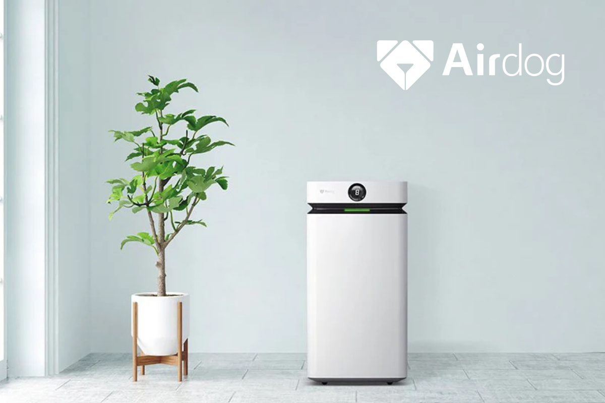 What Works for Moulds? Dehumidifiers, Air Purifiers or Both?