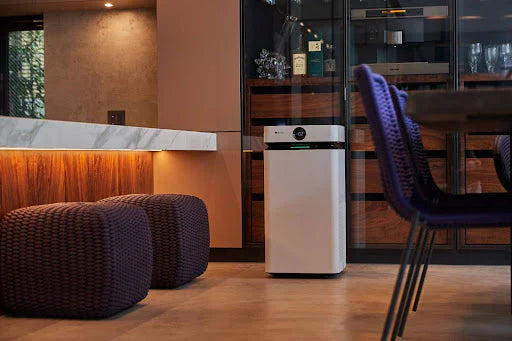 Do I need an Air Purifier? 5 Things to Know Before Buying One.