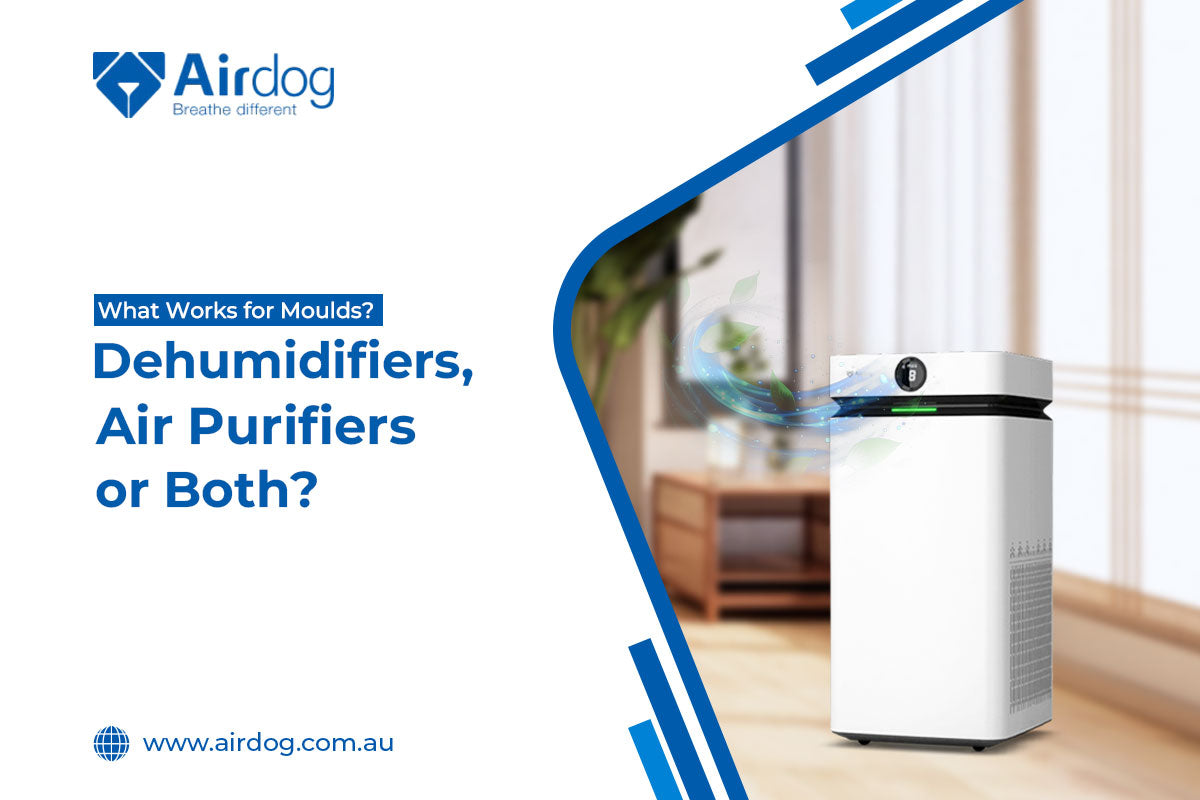 What Works for Moulds? Dehumidifiers, Air Purifiers or Both?