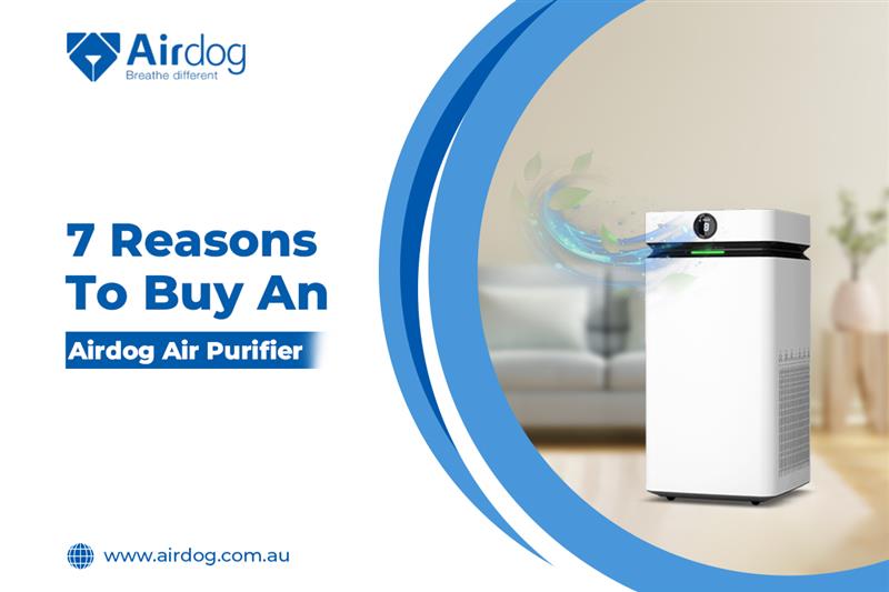 7 Reasons To Buy An Airdog Air Purifier