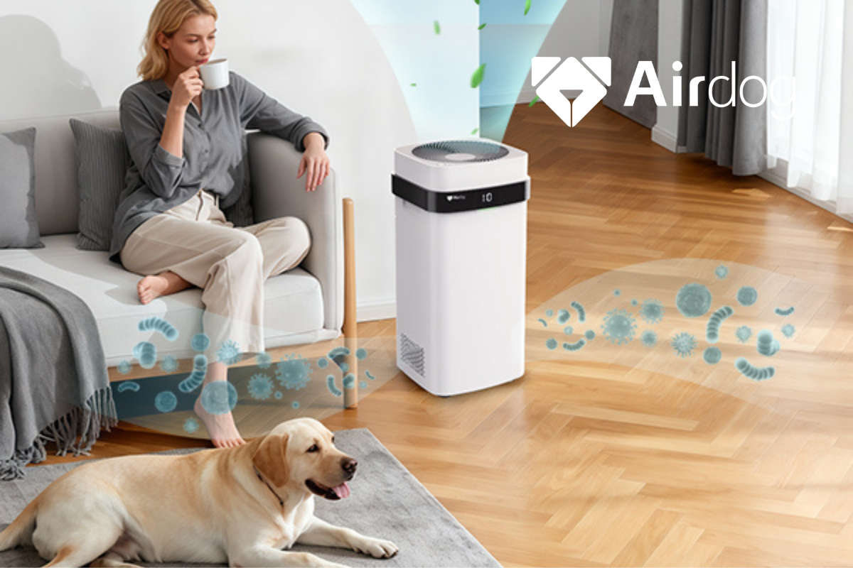 What Pet Parents Need To Check  Before Investing In An Air Purifier