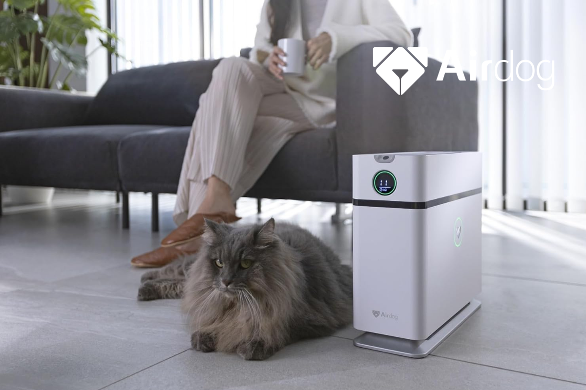 Cat Allergies Explained: What Is Fel d 1 and Can an Air Purifier Help?