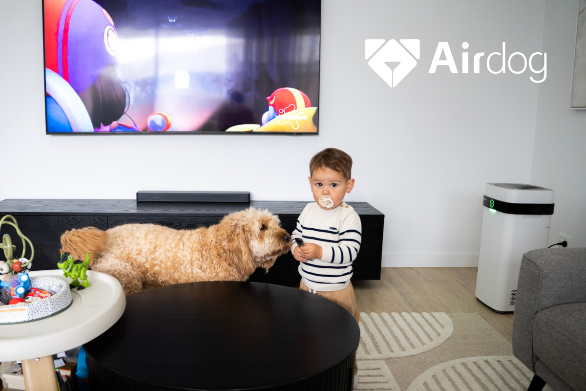 Love Your Pets, Not the Smell: How to Keep Your Home Fresh and Allergy-Free