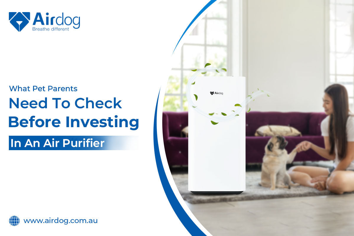 What Pet Parents Need To Check  Before Investing In An Air Purifier
