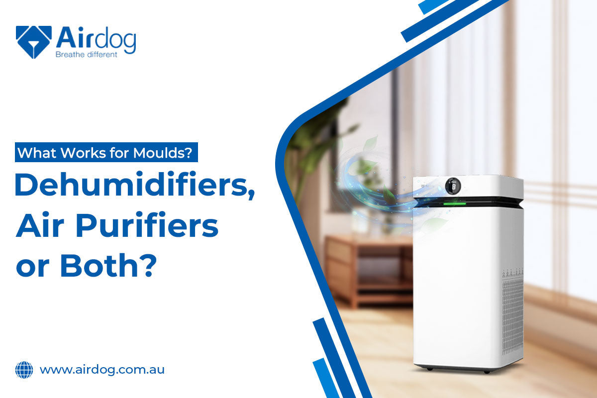 What Works for Moulds? Dehumidifiers, Air Purifiers or Both?