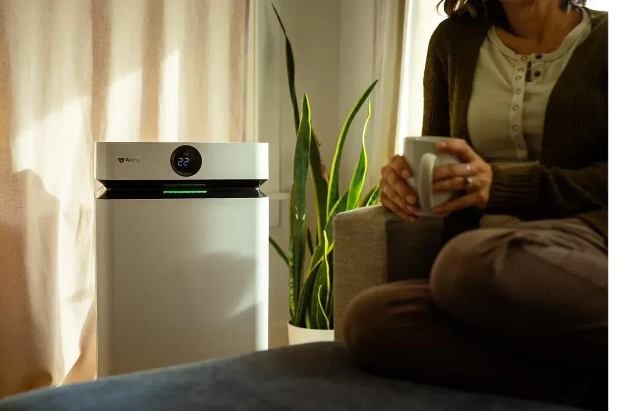 Airdog X5D air purifier running in a sunlit Australian living room