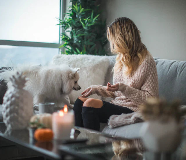 Dog & Cat Allergies: Understand and Manage Pet Allergies