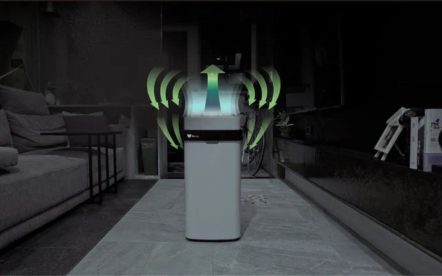 What Do Air Purifiers Do?