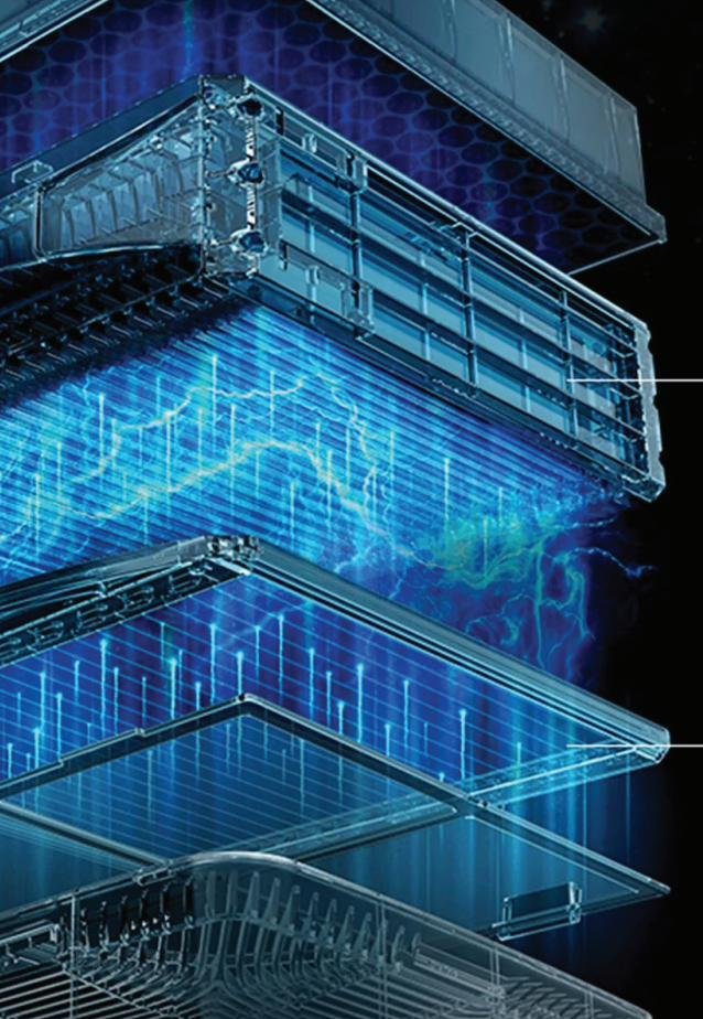 The science of TPA®